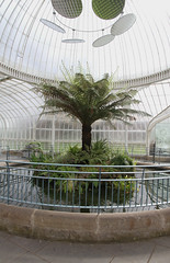Botanic Gardens, Glasgow.