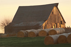 Barns and Structures