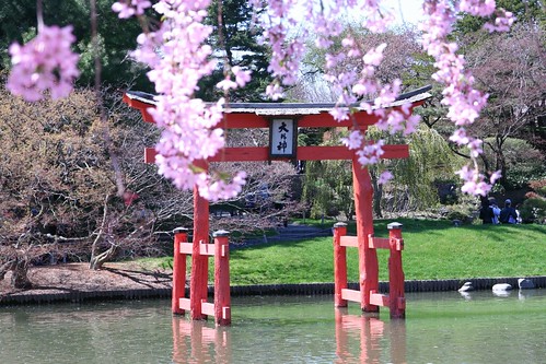 Japanese Garden by TheGirlsNY