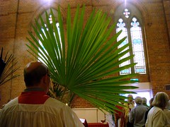 Palm Sunday 2009