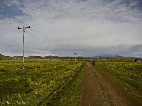 Camino Altiplano by L. Mauricio Aguilar