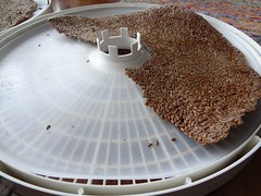 2012.06_dehydrating flaxseed crackers
