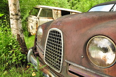 The old Car Graveyard 2011