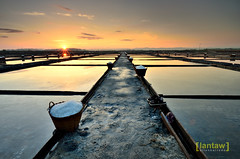 Salt Field in Pangasinan