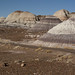 03-15-12: Petrified Forest