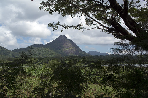 Sri Lanka Tree Top panorama