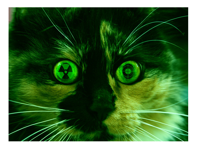 Зеленая виртуальная кошка 6908191972_472608e8ef_b