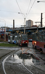 Trams in Szczecin