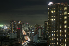 2010-2011 Tokyo