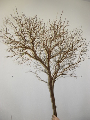 manzanita branches wholesale