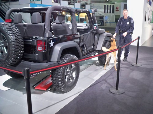 Bomb sniffing dog with COD Jeep by lee.ekstrom