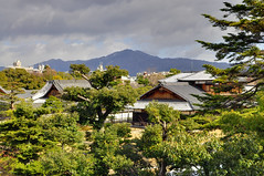 2011-Jan Kyoto