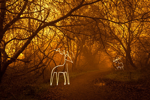 Light Harted (Reindeer Light Painting), Hertfordshire