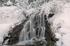 Waterfalls, Oregon