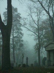 Fog-Mist-Haze-Rain