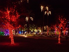 112910-LDS Christmas Lights-Mesa,Arizona