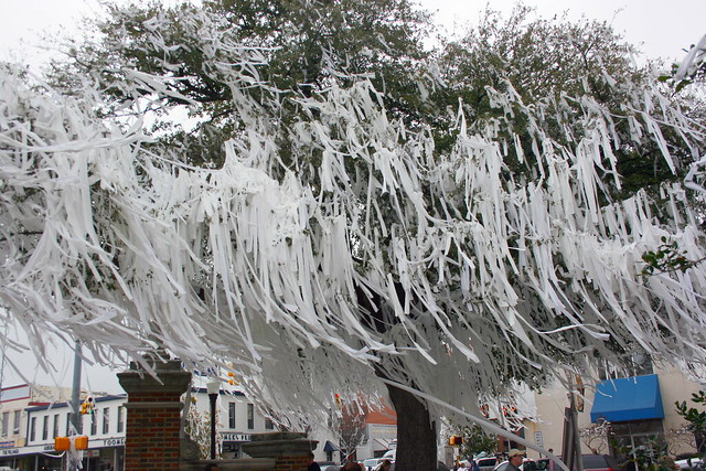 Day 11 {The Rolling of Toomer's Corner:National Champs}