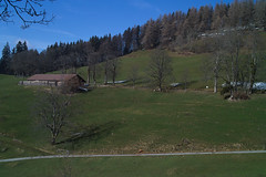 SwissLive2011_01