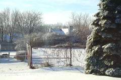 Winter 2011