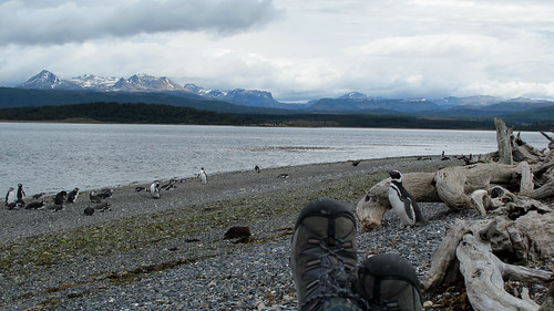 Tierra del Fuego Boots