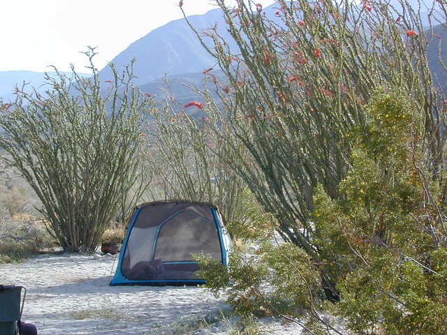 Borrego Camping, Primitive and Free