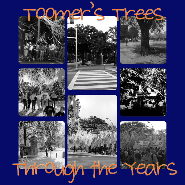 Toomer's Trees