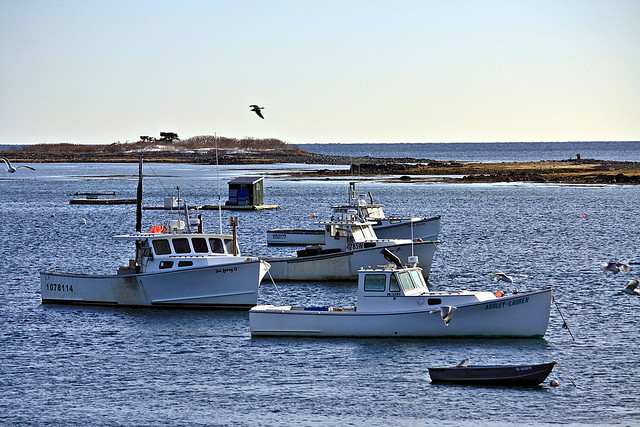 Maine Fishing Boats | Flickr - Photo Sharing!