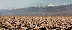 Death Valley: Scenes