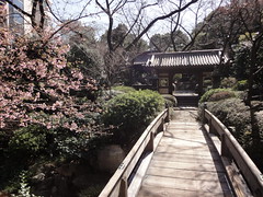 2011 Early Spring in Tokyo (Shinagawa Stroll)