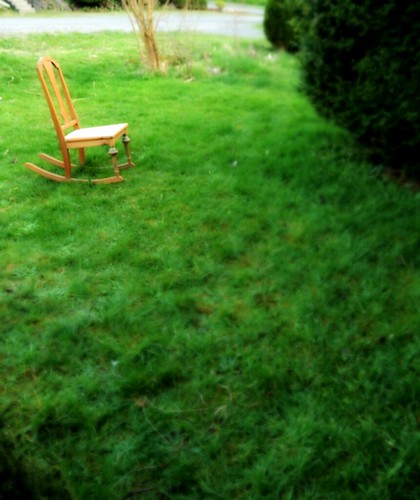 Lawn rocker, green, Broadview, Seattle, Washington, USA by Wonderlane
