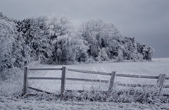 Winter 2010 - Gloucestershire