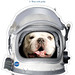 Blue II Astronaut Mask