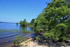 george t bagby state park