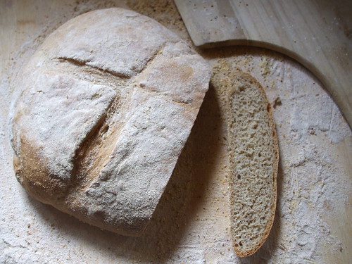 daily bread
