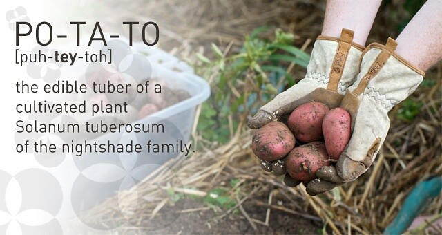 Growing Your Own Potatoes at Your Day