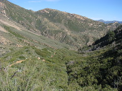 The Gene Marshall - Piedra Blanca National Recreation Trail