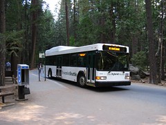 Yosemite Shuttle Bus System