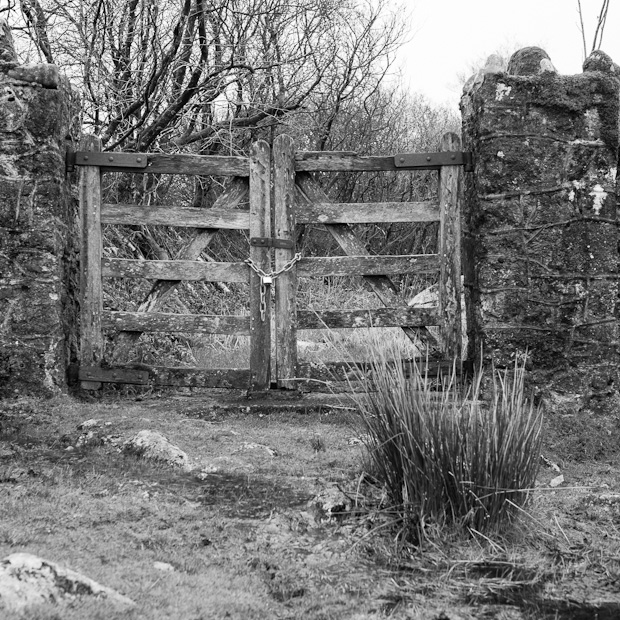 Dartmoor gate
