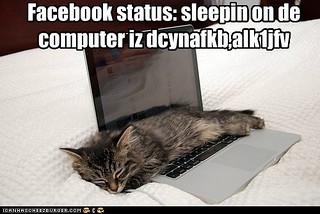 lol facebook-status-sleepin-on-de-computer-iz-dcynafkb-alkjfv