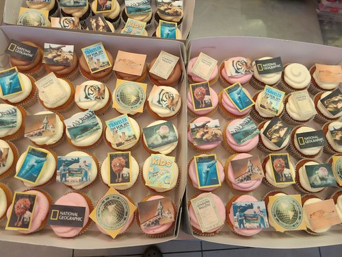 National Geographic Cupcakes by CAKE Amsterdam - Cakes by ZOBOT
