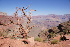 2011-06-12 Arizona, Grand Canyon