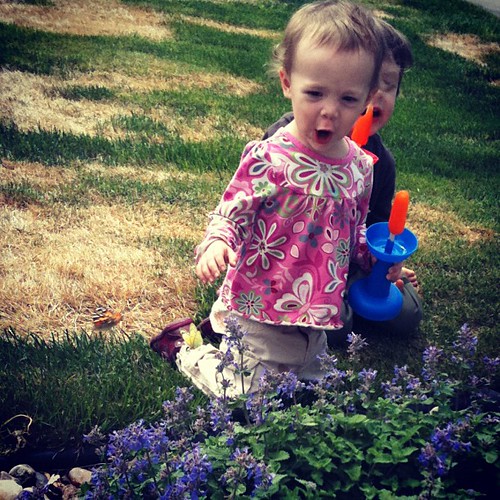 May 4. She found a bush full of flyflies! (butterflies)