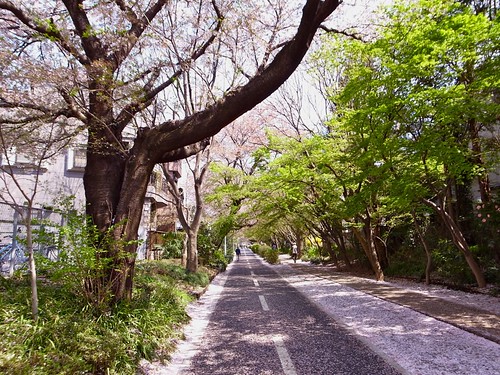 Tamako Cycling Road