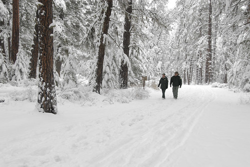 Two Forest Service rangers walk through the snow covered paths at Lolo National Forest in Montana on November 22, 2007. Lolo National Forest is located in west central Montana and encompasses two million acres. USDA photo.
