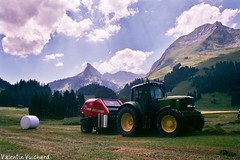 Agriculture en Gruyère