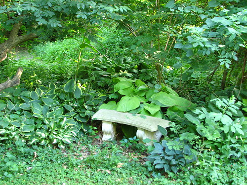 hosta bed with a bench
