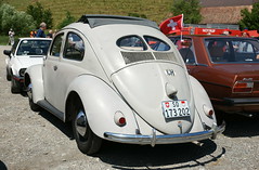 Volkswagen Classic - 1953