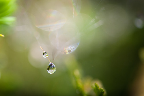 106 water droplet