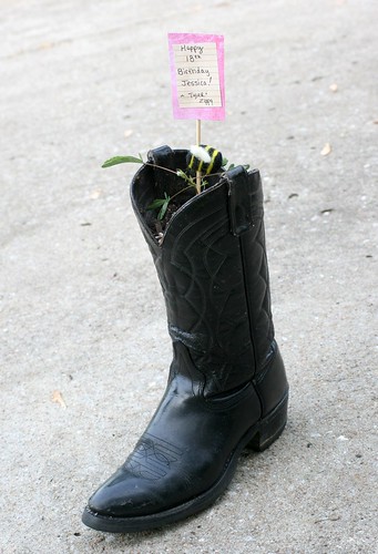 Gift Plant In A Cowboy Boot