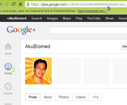 Dapatkan maklumat Google+ Profile ID